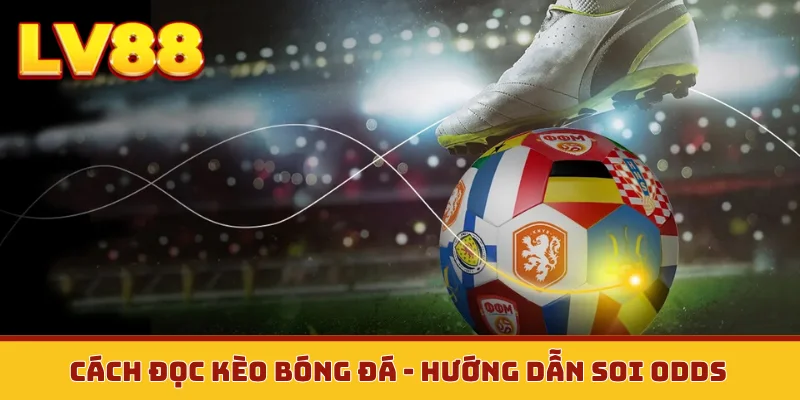 Cách đọc kèo bóng đá