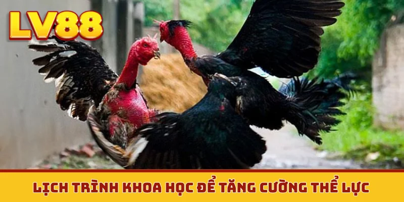 Lịch trình khoa học để tăng cường thể lực