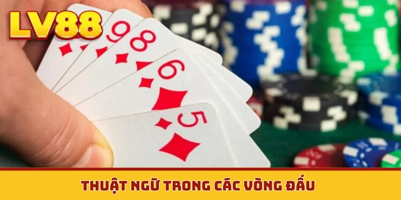 Thuật ngữ trong các vòng đấu